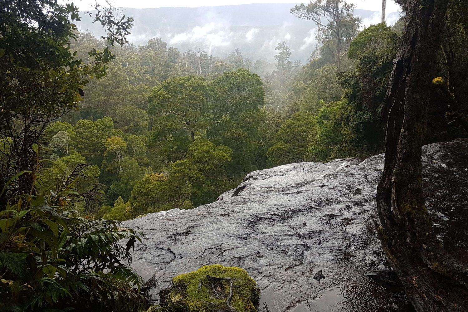 Group Tours Tasmania
