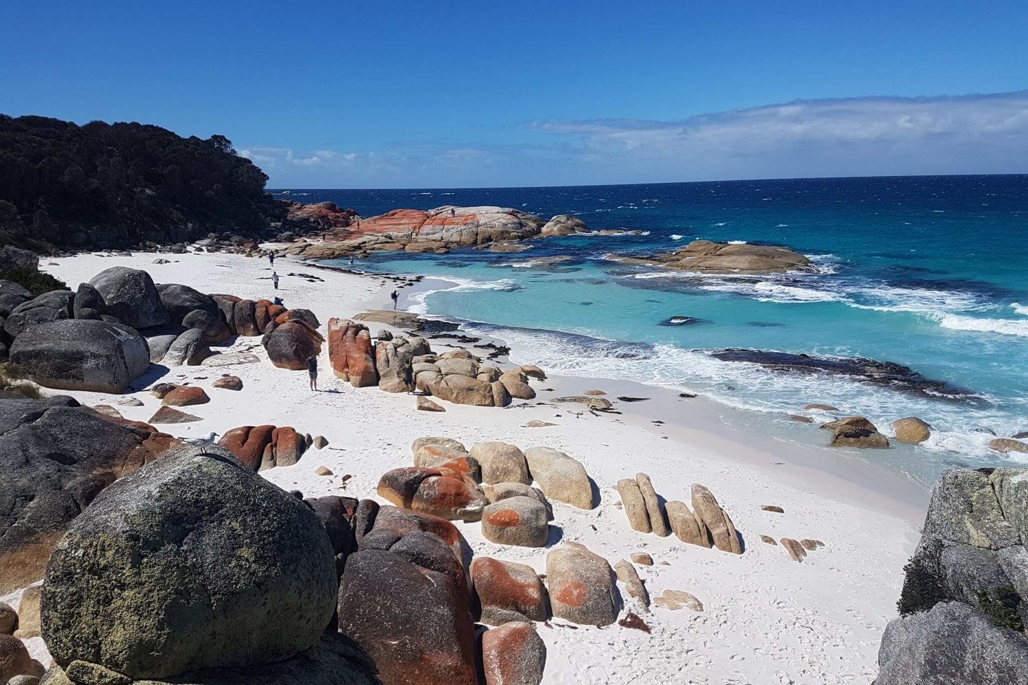 Tasmania Backpacker Tours