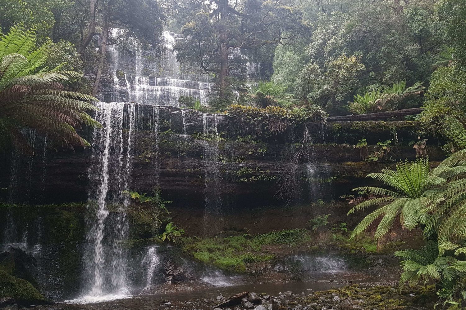 Tasmania Tours
