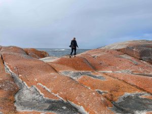 4 Day Tasmania tour