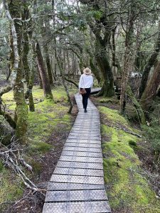 Cradle Mountain tour from Hobart