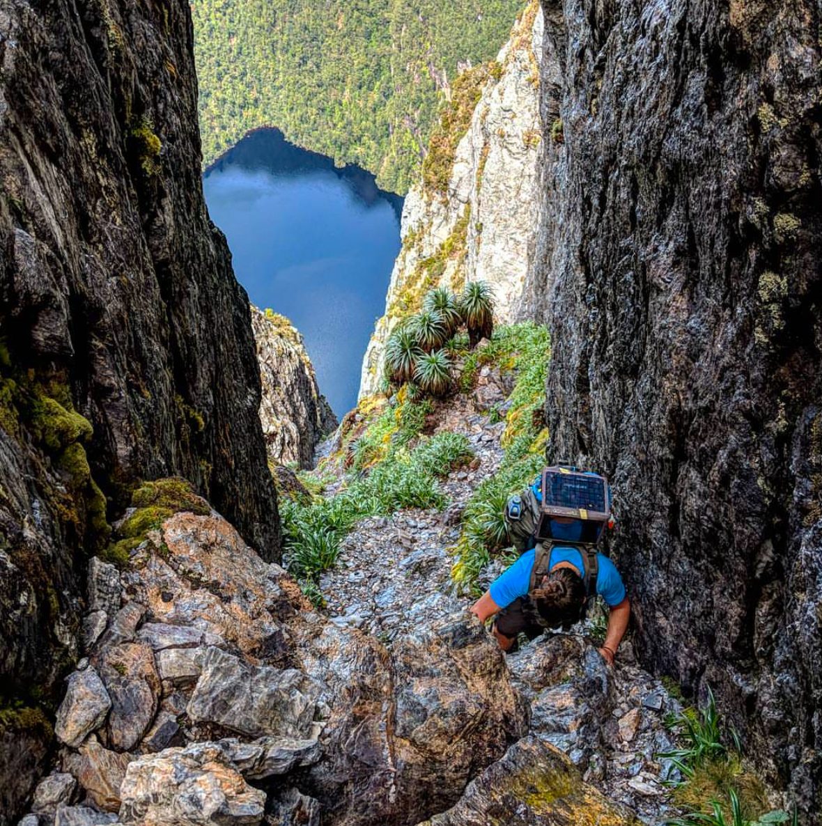 Tour_Guide_Tasmania